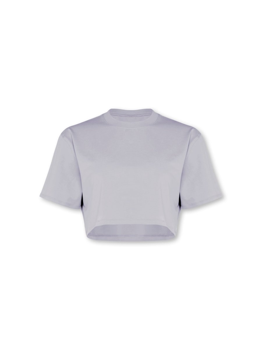Self Love Cropped Tee Light Grey - Blanklines